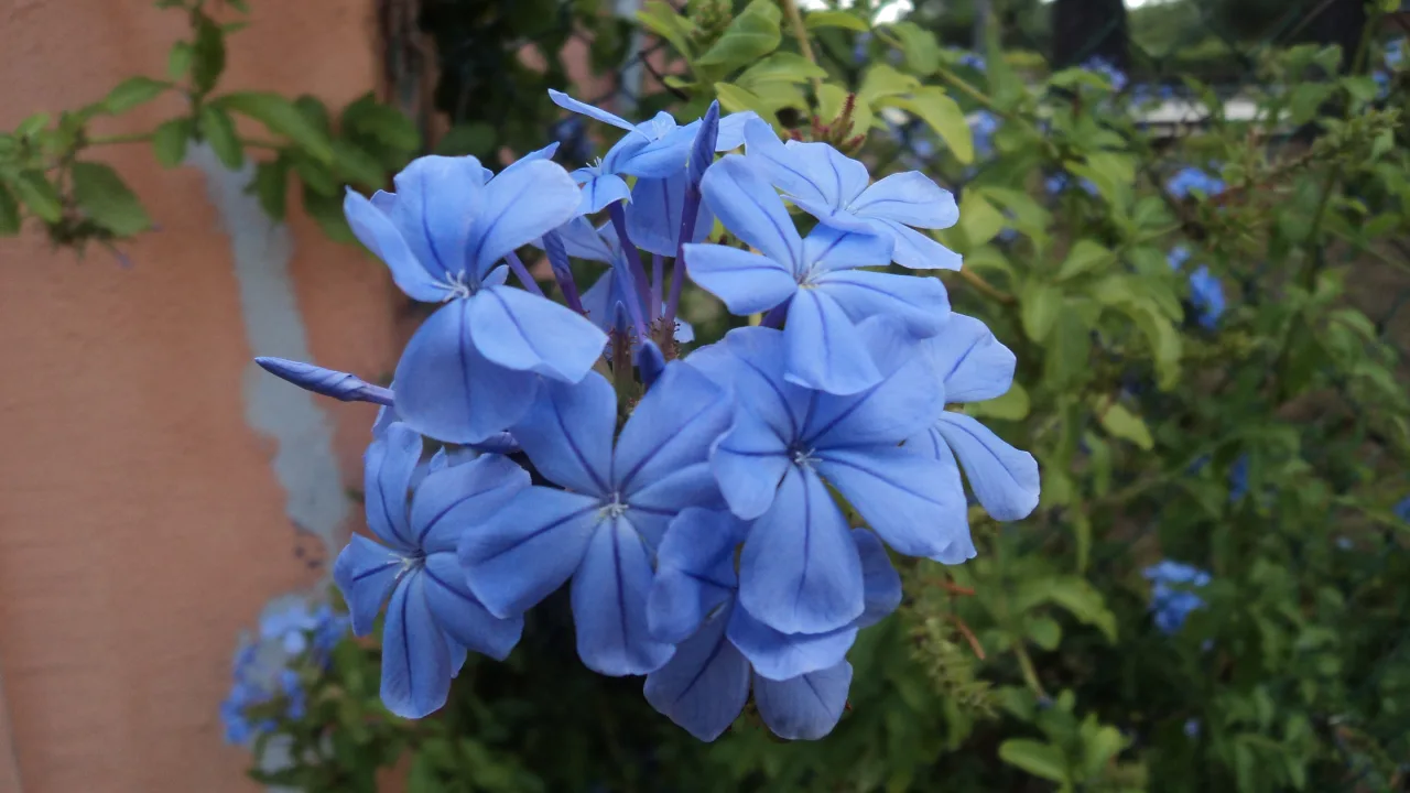 Spiritual meaning of color blue, meaning of color blue, what does blue symbolizes